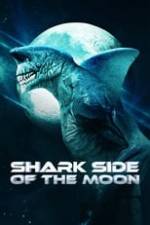 Shark Side of the Moon Box Art