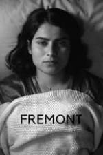 Fremont Box Art