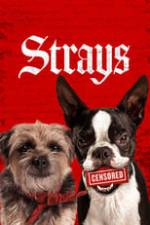 Strays Box Art