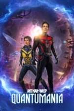 Ant-Man and the Wasp: Quantumania Box Art