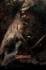 Garrano Box Art