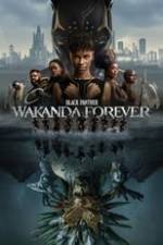 Black Panther: Wakanda Forever Box Art