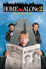 Home Alone 2: Lost in New York Box Art