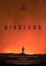 Birdland Box Art