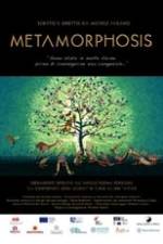 Metamorphosis Box Art