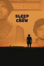 Sleep of the Crow Box Art