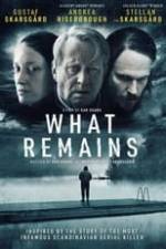 What Remains Box Art