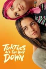 Turtles All the Way Down Box Art