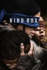 Bird Box Box Art