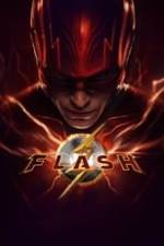 The Flash Box Art