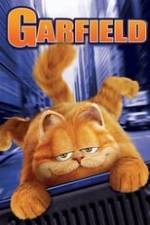 Garfield Box Art