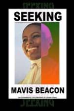 Seeking Mavis Beacon Box Art