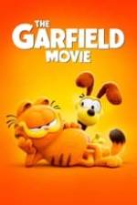 The Garfield Movie Box Art