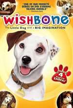 Wishbone Box Art