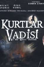 Kurtlar Vadisi Box Art