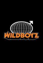 Wildboyz Box Art