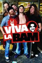 Viva La Bam Box Art