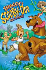 Shaggy & Scooby-Doo Get a Clue! Box Art