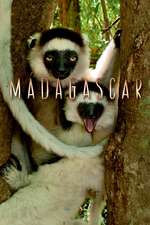 Madagascar Box Art