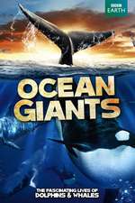 Ocean Giants Box Art