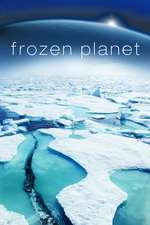 Frozen Planet Box Art