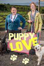 Puppy Love Box Art