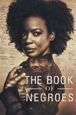 The Book of Negroes Box Art