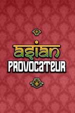 Asian Provocateur Box Art