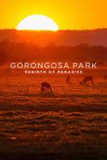 Gorongosa Park: Rebirth of Paradise Box Art