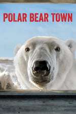 Polar Bear Town Box Art