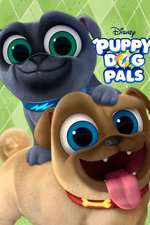 Puppy Dog Pals Box Art