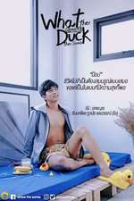 What the Duck รักแลนดิ้ง Box Art