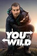 You vs. Wild Box Art