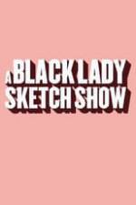 A Black Lady Sketch Show Box Art