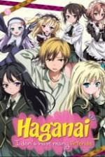 Haganai: I Don't Have Many Friends Box Art