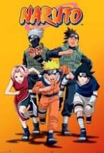 Naruto Kai Box Art