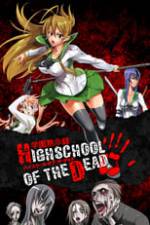 Highschool of the Dead Box Art