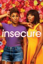 Insecure Box Art