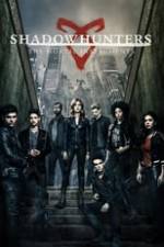 Shadowhunters Box Art