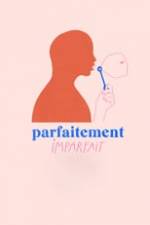 Parfaitement imparfait Box Art