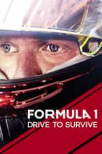 Formula 1: Drive to Survive Box Art