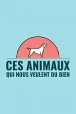 Ces animaux qui nous veulent du bien Box Art