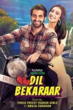 Dil Bekaraar Box Art