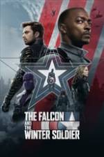 The Falcon and the Winter Soldier Box Art