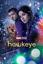 Hawkeye Box Art