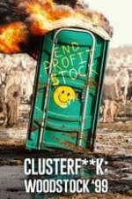 Clusterf**k: Woodstock '99 Box Art