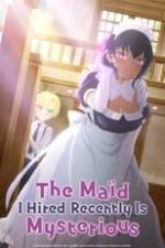 The Maid I Hired Recently Is Mysterious Box Art