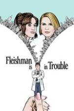 Fleishman Is in Trouble Box Art