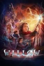 Willow Box Art