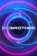 Big Brother Box Art